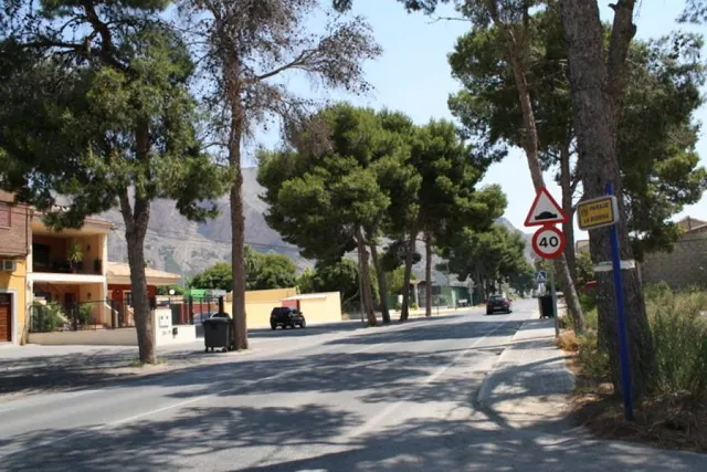 Parcela a las afueras de Orihuela — 15