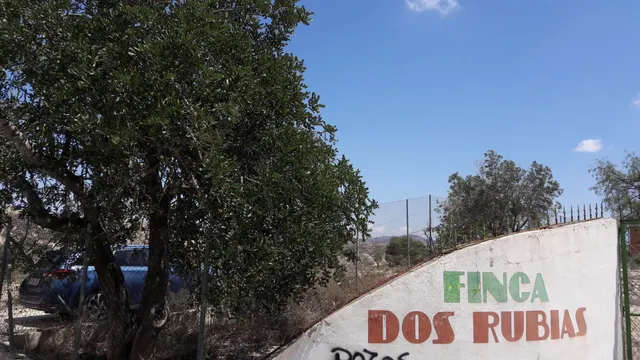 TERRENO RÚSTICO en Los Roques MURCIA — 9
