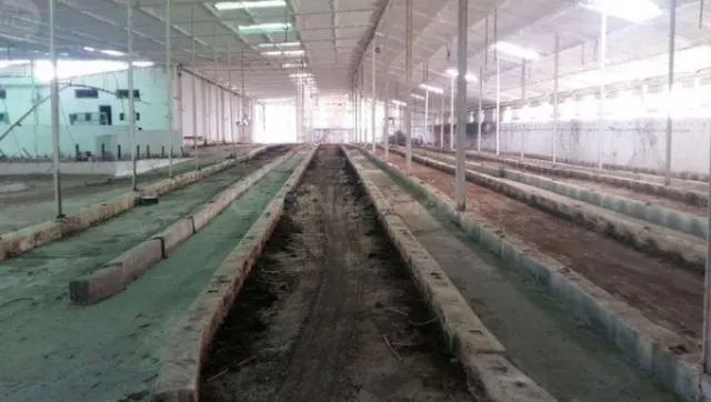 Se vende granja - foto 2