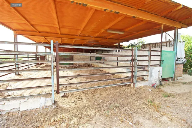 FINCA RÚSTICA EN CAMPANILLAS — 15