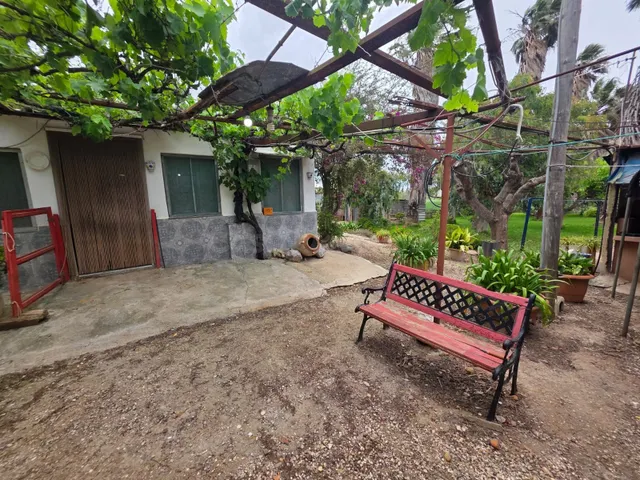 ✨ Finca Única en el Delta de l’Ebre: ¡Con "Ullal" Natural Pr - foto 4