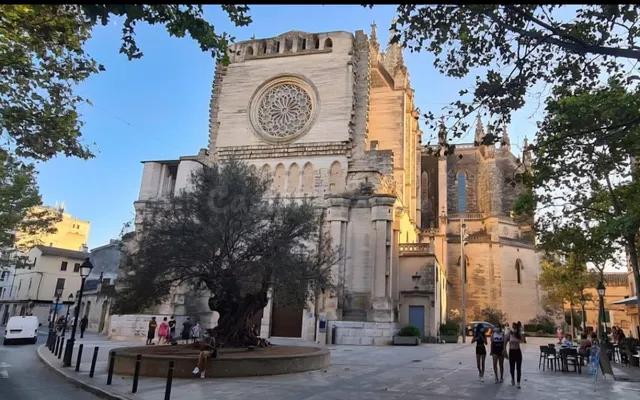 EDIFICIO COMERCIAL EN EL CORAZON DE MANACOR (Galerias Caldentey) — 4