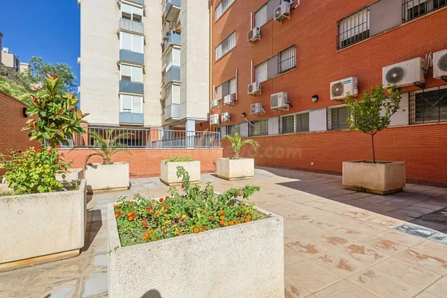 Piso en venta en Pino Montano - foto 4