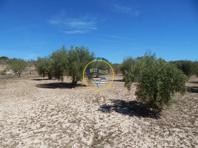 TERRENO DE 17.900M2  EN PRODUCCIÓN CON POSSIBILIDAD DE CONSTRUIR EN AGULLENT(VALENCIA) — 10