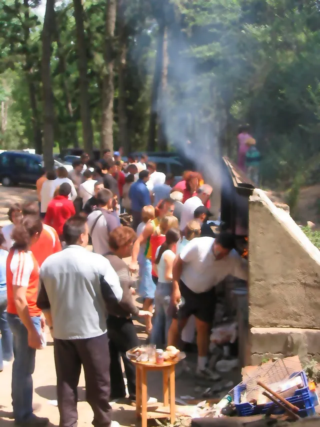 Finca rústica de 9 hectáreas en Arenys de Munt — 17