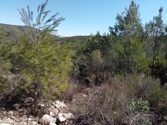 Tegeisa vende parcela de 1204m2 - foto 3