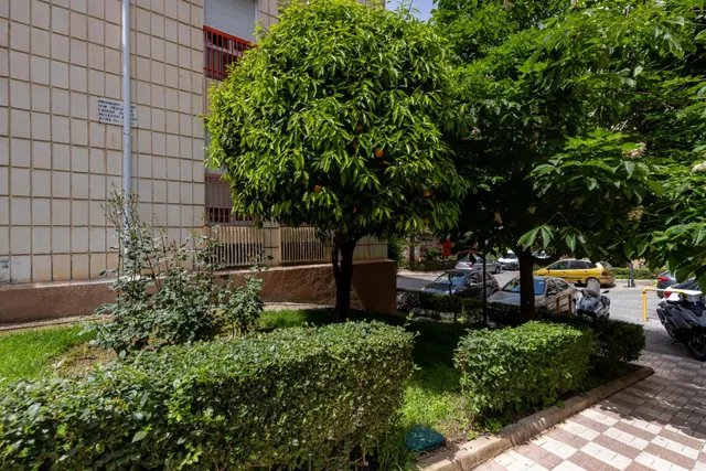Una casa para disfrutarla, una urbanización para vivirla — 38