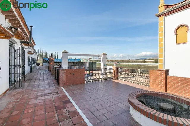 Cortijo grande más finca de 27000 metros — 3