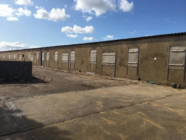 GRANJA AVICOLA,CASA Y ARROZAL EN VENTA!!! — 8