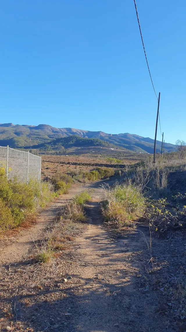 SE VENDE VIÑEDO EN VILAFLOR — 19