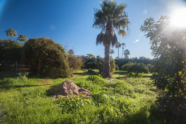 Finca rústica 3 habitaciones 172m² en venta - Costa Del Sol — 42