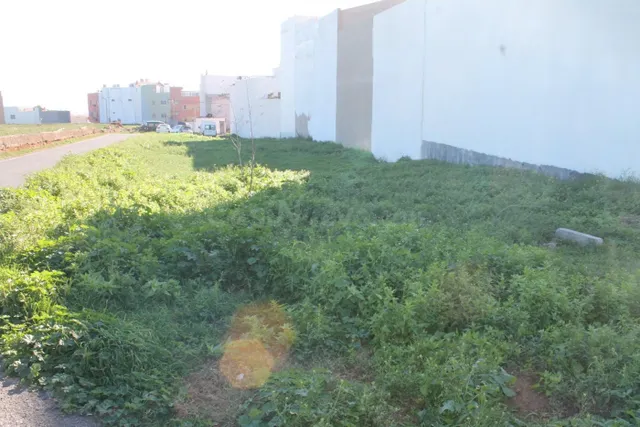 Terreno Urbano en La Zona de la Viña en el Calero, Telde.