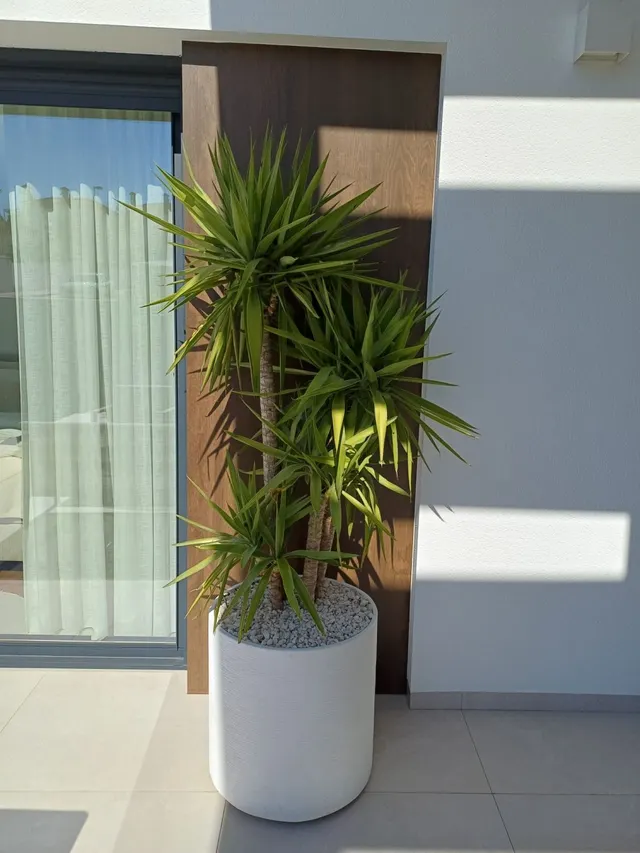 Villa 4 habitaciones en venta - Fuente Alegre - El Chaparral - Los Morales — 50