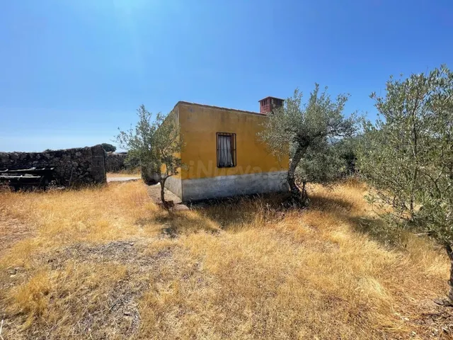OLIVAR EN VALDEFUENTES CON CONSTRUCCIÓN DE UNOS 25 METROS CU