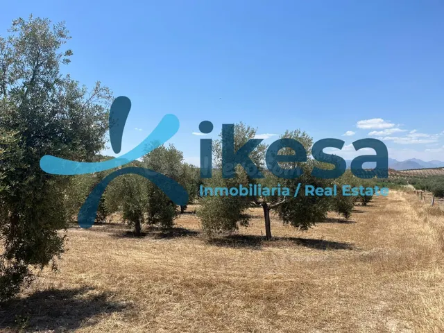 Terreno rural 169m² en venta - Andalucia — 2