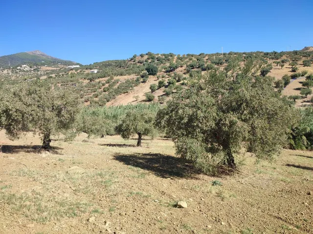 Parcela en venta - South of spain — 15