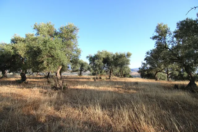 Parcela en venta - South of spain — 3