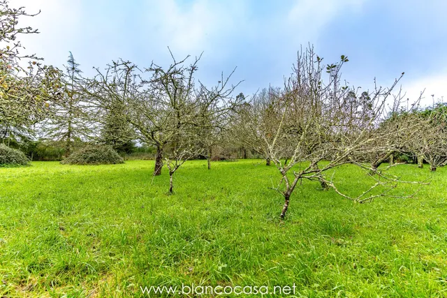 ¡INTERESANTE CASA con 437 m2 y TERRENO de 3.187 m2 por 129.9 - foto 3
