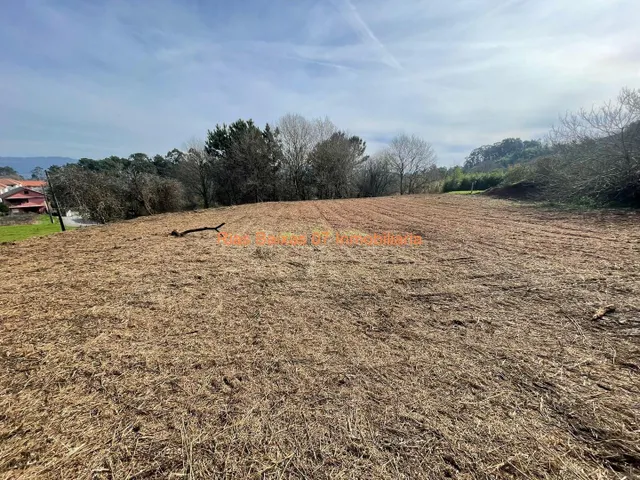 REF 4207 SOLAR 1412m2 CON PROYECTO Y LICENCIA TAMEIGA ( MOS ) — 9