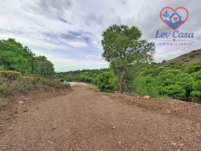 FINCA DE 10.400 M2 CON PISCINA EN SIERRA ESPUÑA — 120.000 € — 13