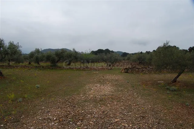 Finca rústica en venta - Afueras del pueblo — 2