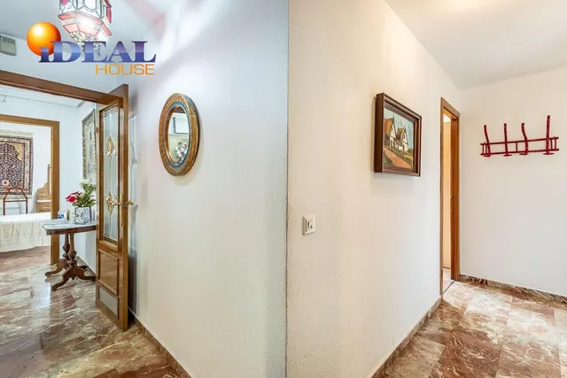 Pisazo en paseo del salón - Granada — 38