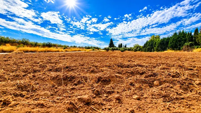 Parcela rústica de 4.824 m2 en Llanos de Moraleda, Moraleda de Zafayona — 17