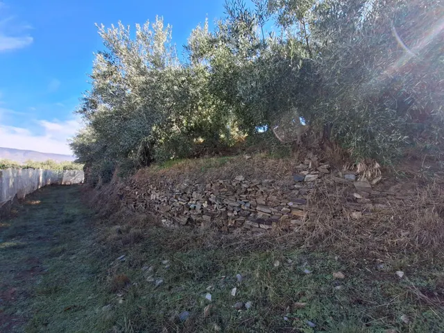 Se vende casa con parcela en Abrucena en pleno parque natural de sierra nevada — 46
