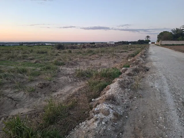 Parcela de 12.000 m2 en marquesado — 3