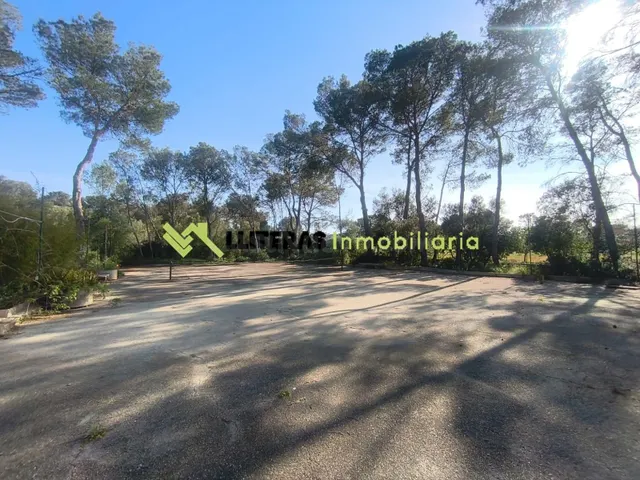 Finca en Algaida con gran piscina y pista de tenis privada b - foto 4
