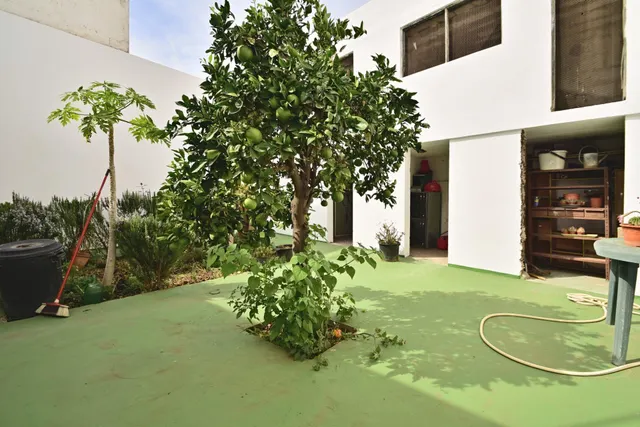 Excelente Casa Terrera en Pleno Centro — 39