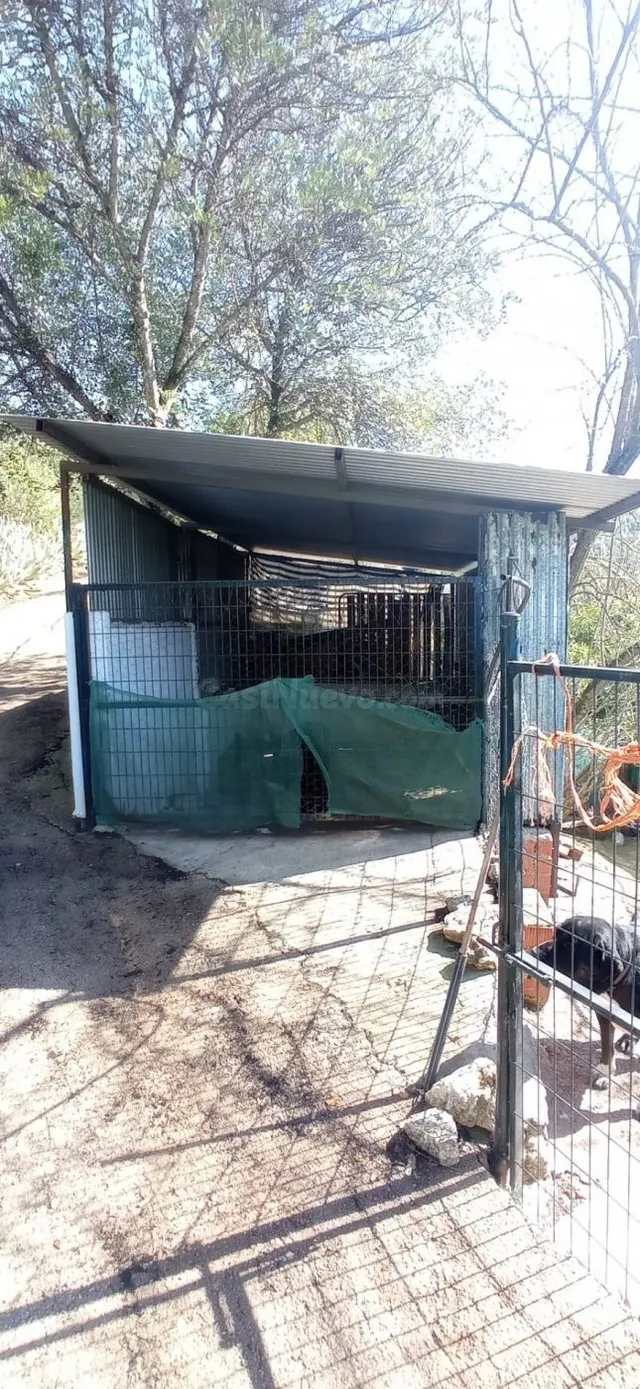 VENTA PARCELA CON CASA Y PISCINA - foto 3