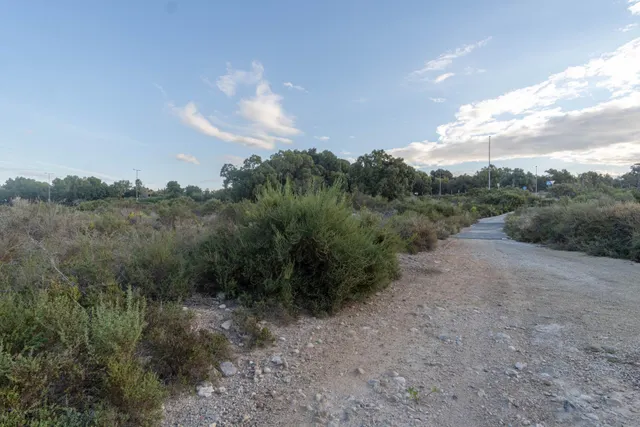 Te gustaria tener  un terreno rústico en  la misma carretera de Santa Pola donde pasar los domingos? parcela de 12.445 m2 — 6