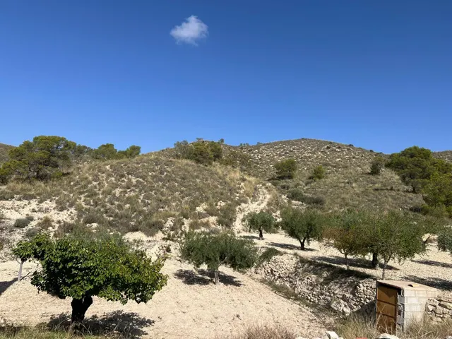 Casa Rural en Barinas, Abanilla: Tu Refugio Ideal — 21