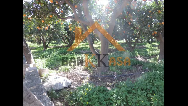 SE VENDE TERRERENO RURAL EN BERJA CON CORTIJO — 12