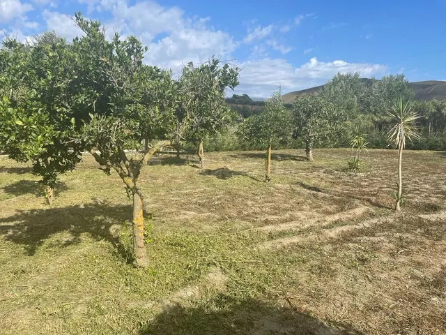 FINCA CON CORTIJO — 2