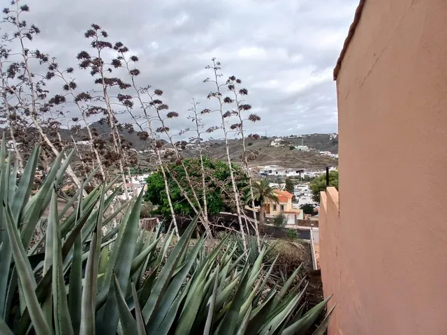 Terreno Urbanizable en Urbanización Santa Margarita (Marzagán) — 8