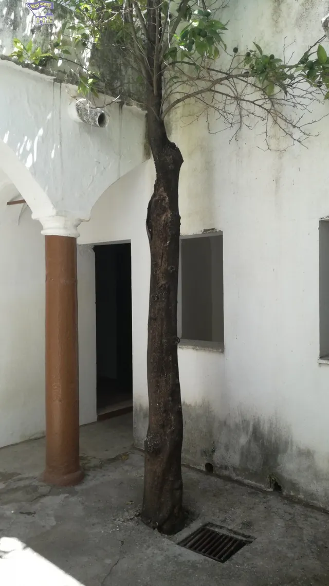 VENTA DE CASA EN PLENO CENTRO DEL BARRIO BAJO — 3