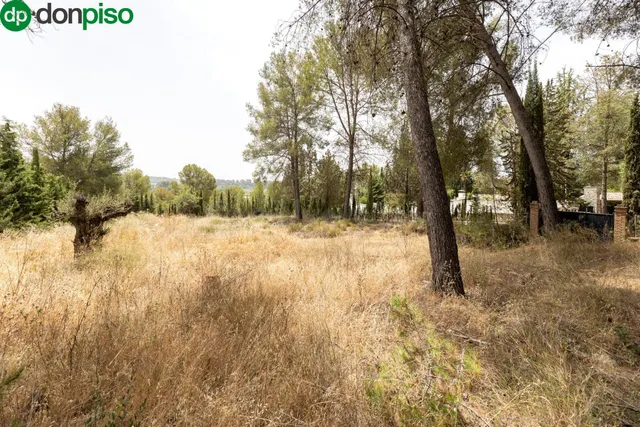 EXCLUSIVO TERRENO EN VENTA EN ALBOLOTE - foto 2