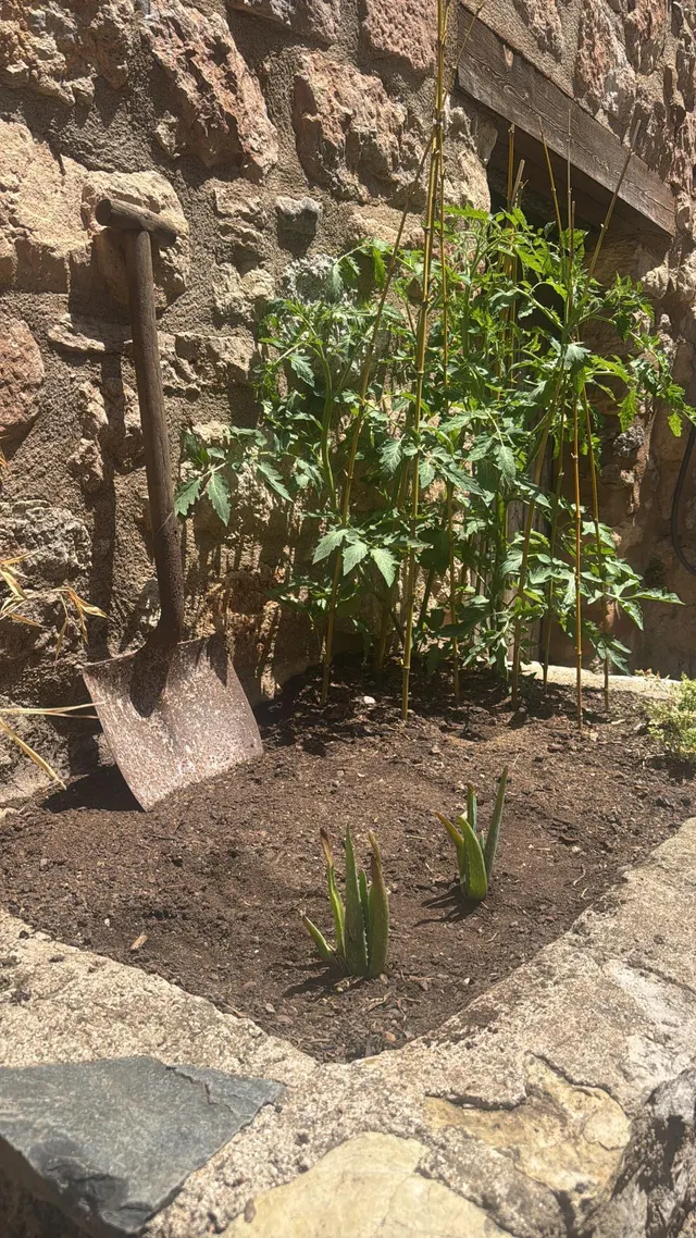 CASA DE PUEBLO EN FARENA – 5 PLANTAS, TERRAZA PANORÁMICA Y GRAN POTENCIAL — 7