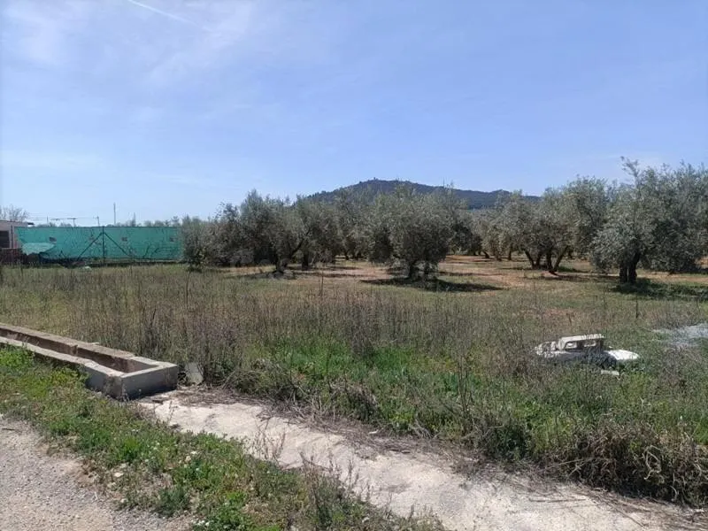 Finca rústica en venta