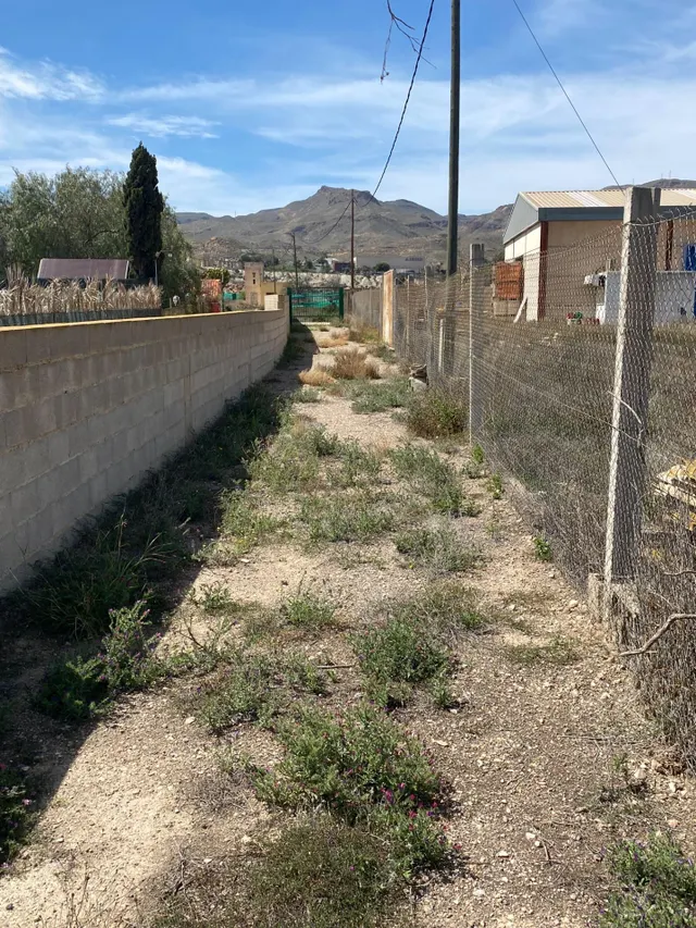 PARCELA ENTRE PECHINA Y VIATOR — 6