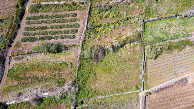 Suelo Rústico de Protección Agraria - foto 4