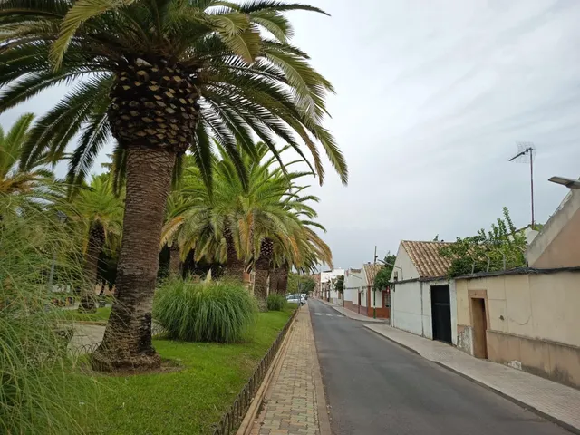 Oportunidad de solar urbano en zona Cañero - foto 2