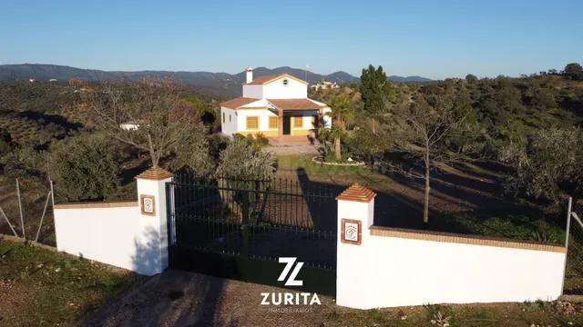 Olivar con casa de recreo - foto 5
