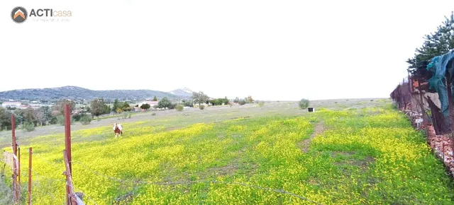 TERRENO EN VENTA ENTRE SIERRA DE FUENTES Y TORREORGAZ. - foto 2