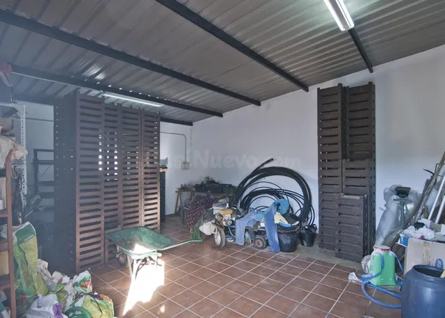 Venta invernadero con construcción en zona Pueblo Nuevo-Puntalón — 18