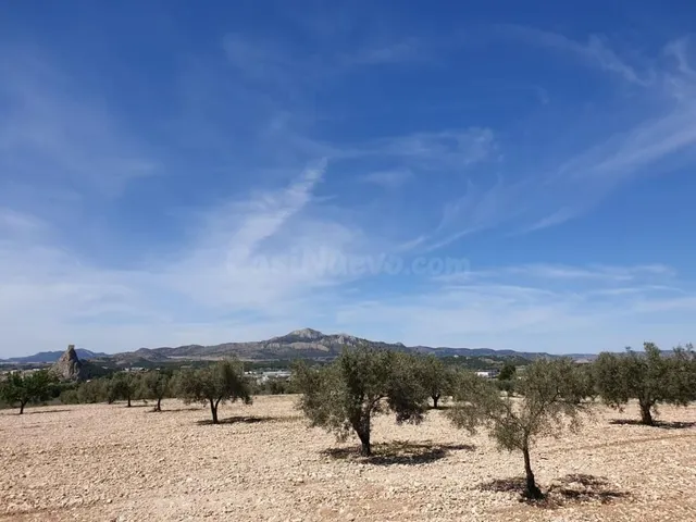 Terreno agrícola con árboles frutales y vistas al castillo e - foto 3