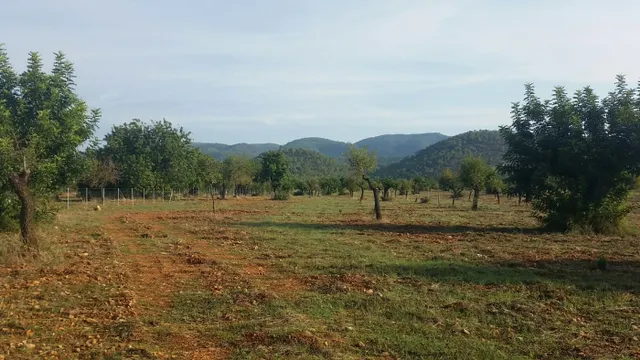Parcela en bunyola con proyecto de construcción — 4