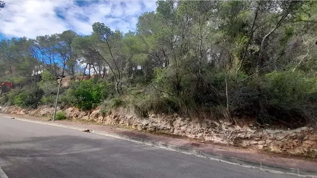 Parcela urbana consolidada en Mas Alba, Sant Pere de Ribes — 2